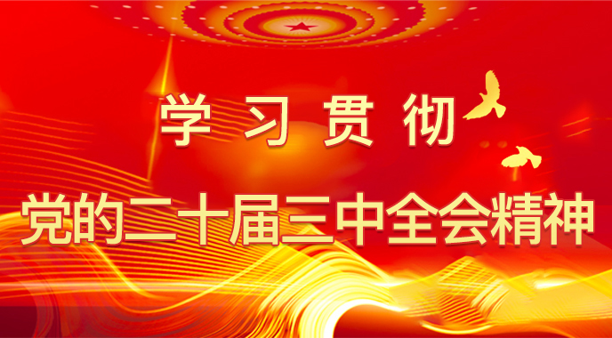 學(xué)習(xí)貫徹黨的二十屆三中全會精神